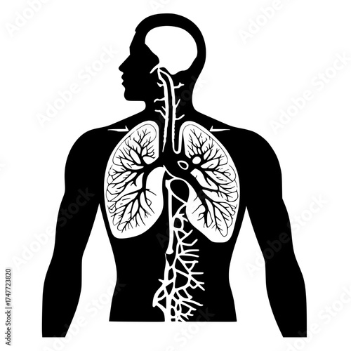 Human anatomy lungs brain silhouette medical illustration health care