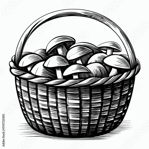Illustration of a basket filled with mushrooms in a rustic style foraging concept