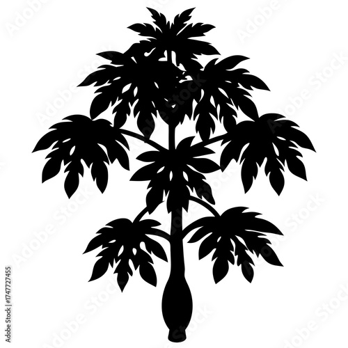 papaya tree