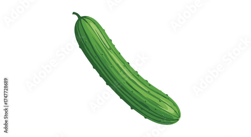 A fresh green cucumber with a textured skin and bumpy surface on a white background.