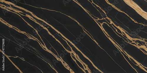 Luxurious Black Marble with Golden Veins Texture.