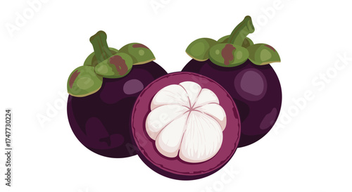 The exotic mangosteen fruit a delicious tropical delicacy.