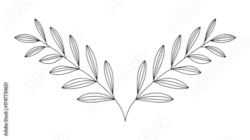 Elegant symmetrical botanical illustration with delicate leaves