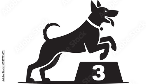 Energetic dog leaping over obstacle in training class