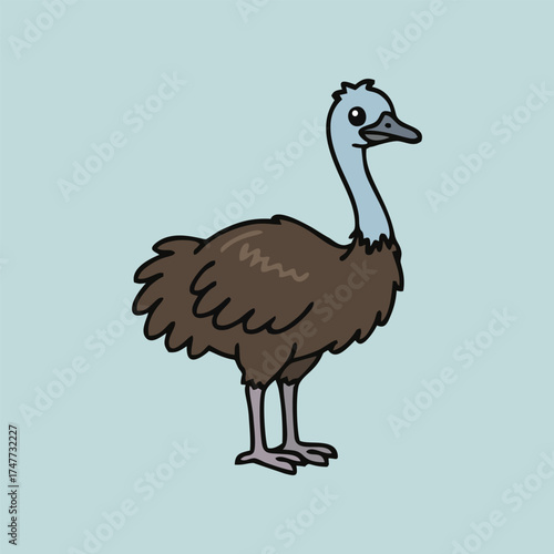 Australian endemic animals - Emu vector illustration