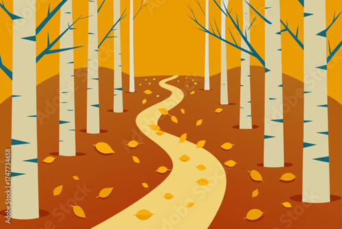 Winding path through a birch tree forest in autumn
