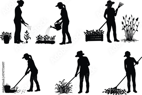 Silhouette of women gardening, planting and watering plants, outdoor garden work, farming activity, agricultural care, nature and lifestyle illustration