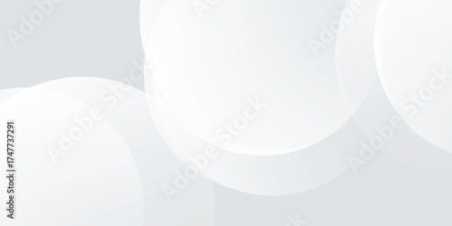 White geometric abstract background overlap layer on bright space with lines effect decoration. Modern graphic design element circles style vector eps10