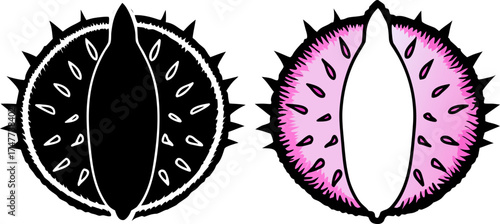 Two halves of a spiky seed pod are centered against a stark white background. The seed pod halves exhibit a contrasting color palette. One half is intact, displaying a textured exterior with a base co