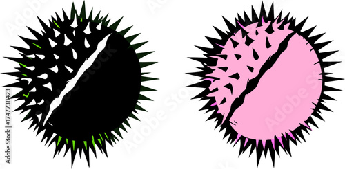 Two halves of a spiky seed pod are centered against a stark white background. The seed pod halves exhibit a contrasting color palette. One half is intact, displaying a textured exterior with a base co