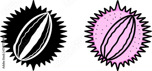 Two halves of a spiky seed pod are centered against a stark white background. The seed pod halves exhibit a contrasting color palette. One half is intact, displaying a textured exterior with a base co