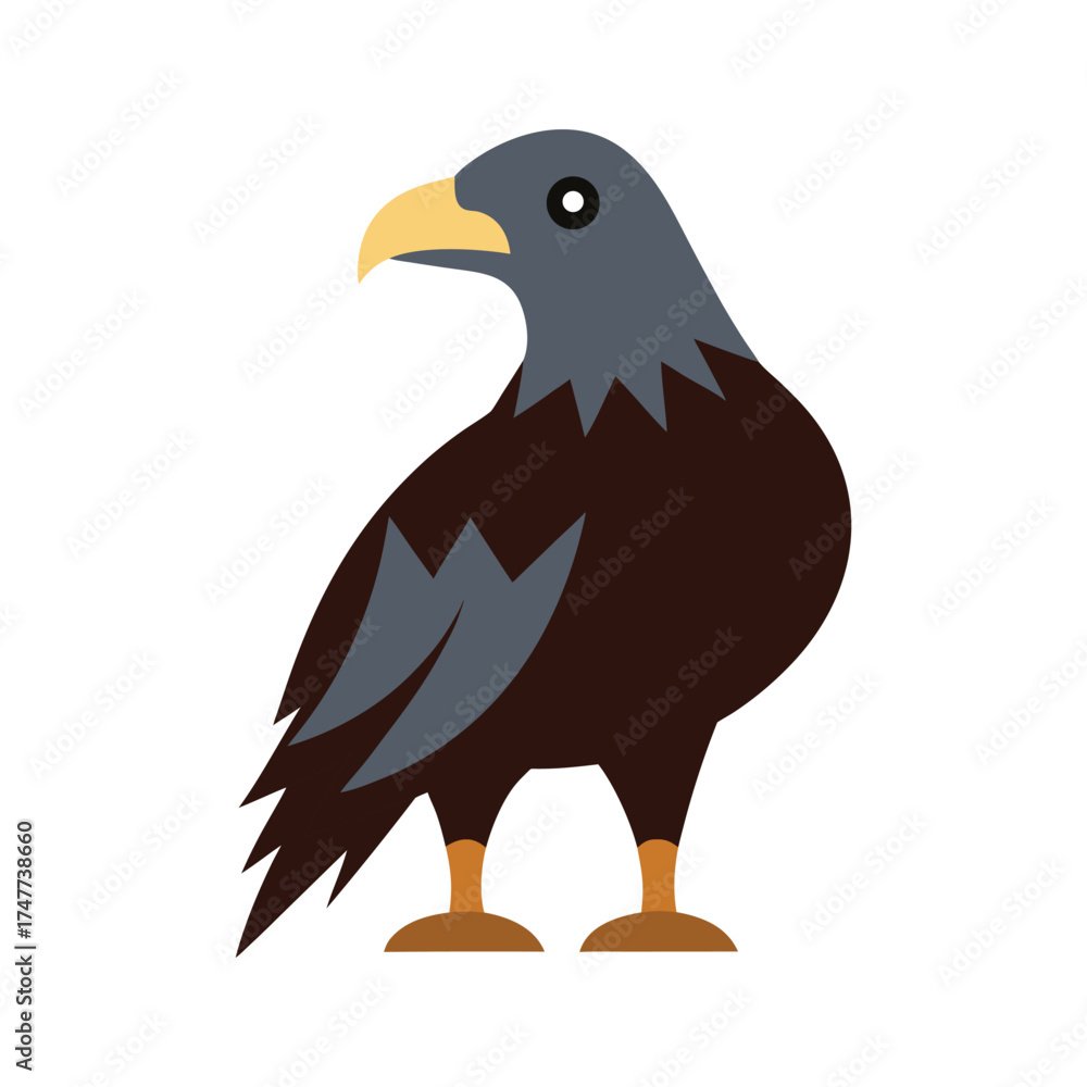 Fototapeta premium buzzard vector art