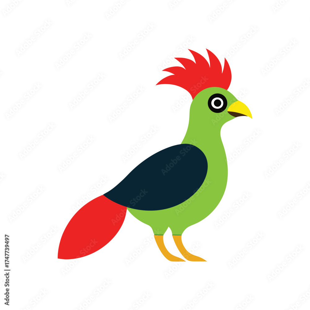 Fototapeta premium turaco vector art