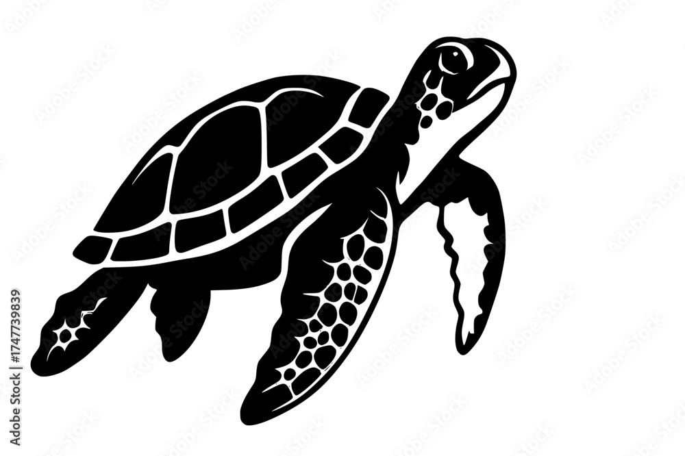 Fototapeta premium Sea Turtle Silhouette with Flowing Motion and Textured Detail