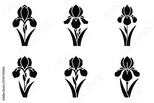 Iris flower silhouette vector icon sets