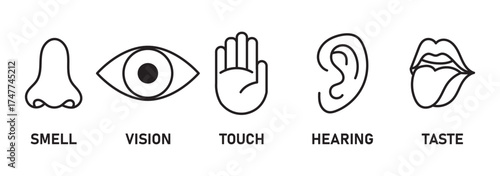 Five human senses editable stroke outline icons set. Flat vector illustration of human senses including ear, eye, nose, lips, and hand in minimalist design style. Five senses of human nervous system.