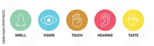 Five human senses editable stroke outline icons set. Flat vector illustration of human senses including ear, eye, nose, lips, and hand in minimalist design style. Five senses of human nervous system.