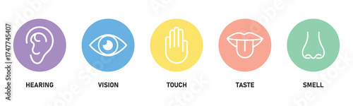 Human sense icons. Five human senses icons. Vision smell hearing touch taste senses fillings. Five fillings icons. Vector Illustration. Vector Graphic.
