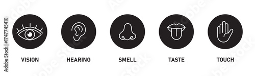 Human sense icons. Five human senses icons. Vision smell hearing touch taste senses fillings. Five fillings icons. Vector Illustration. Vector Graphic.