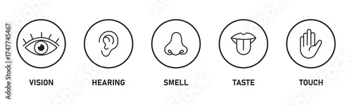 Five Senses line icons Five senses icon, representing the senses: eye (sight), nose (smell), ear (hearing), tongue (taste), and hand (touch) - ideal for web design education.