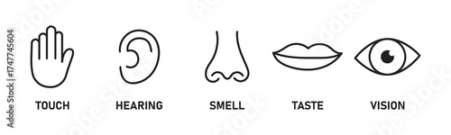 Human senses icon set. Vision eye, smell nose, hearing ear, touch hand, taste mouth with tongue. Simple line icons and black circle. Five senses of human nervous system. Vector illustration.