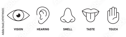 Five Human Senses Vector Line Icons Set: Touch, Hearing, Smell, Sight, Taste, Sensory Perception, Biology and Anatomy Symbols.