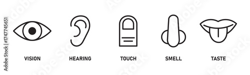 Five Human Senses Vector Line Icons Set: Touch, Hearing, Smell, Sight, Taste, Sensory Perception, Biology and Anatomy Symbols.