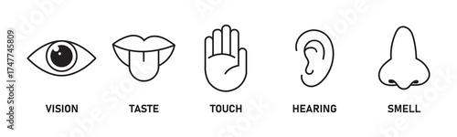 Human senses icon set. Vision eye, smell nose, hearing ear, touch hand, taste mouth with tongue. Simple line icons in circle. Five senses of human nervous system. set of five senses icon.