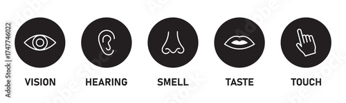 Five senses of human nervous system vector illustration. Vision through eye, smell with nose, taste with tongue line icon set. Variety Design 5 Five senses.