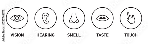 Five senses of human nervous system vector illustration. Vision through eye, smell with nose, taste with tongue line icon set. Variety Design 5 Five senses.