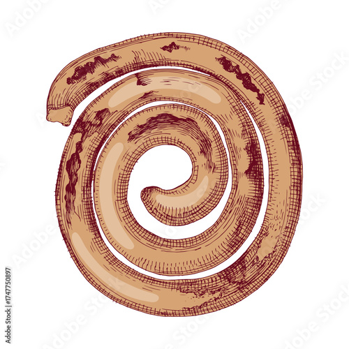 Homemade grilled spiral sausage vector