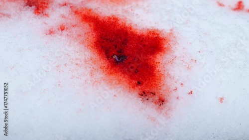 Red blood wallpaper.Bloody trace on snow texture. Red Stain on Snowy Ground. 4k footage