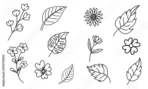 Vector art of hand drawn flower and leaf for decoration use
