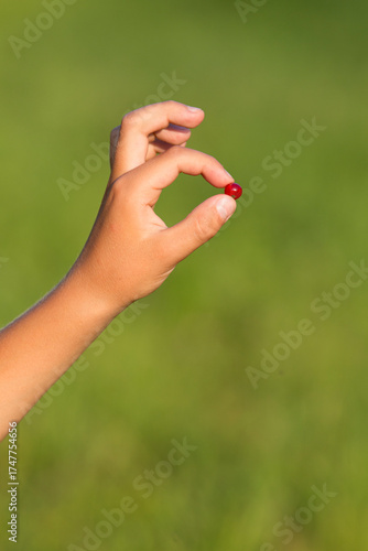 Wallpaper Mural A child's hand holds a red berry. Blurred green background. Evening lighting Torontodigital.ca