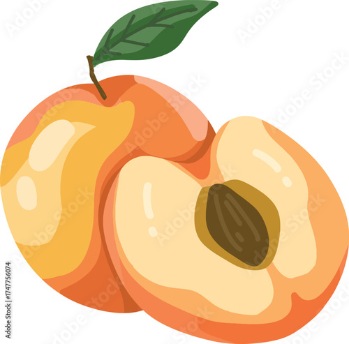 Vibrant Peaches Whole Fruit with Leaf and Halved Slice