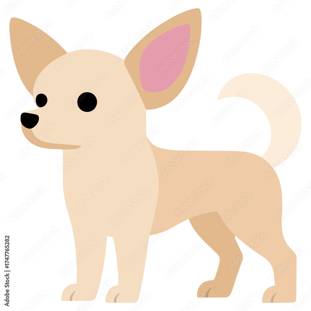 Obraz premium Variety of dog breeds in illustration style - Chihuahua
