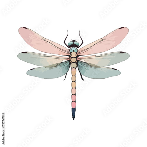 Dragonfly