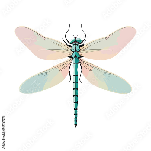 Dragonfly