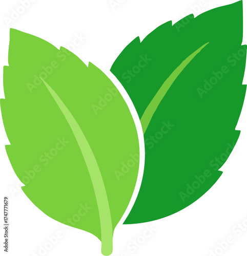 Modern Green Leaves Vector – Flat Botanical Double Leaf Minimalist Illustration