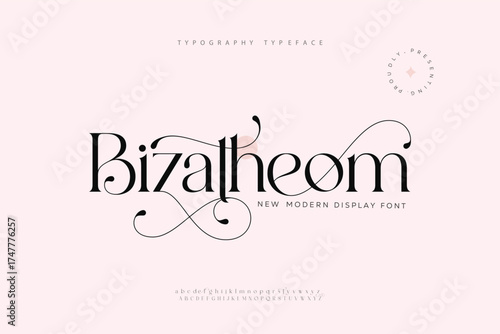 Elegant Font Uppercase Lowercase and Number. Classic Lettering Minimal Fashion Designs. Typography modern serif fonts regular decorative vintage concept. vector illustration 