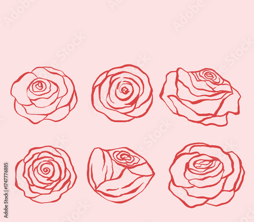 Roses hand drawn clipart collections