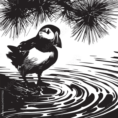 Atlantic Puffin: A charming Atlantic puffin stands on a cliff's edge, peering out over the water in a serene moment of solitude, illustrated in a monochrome style. 