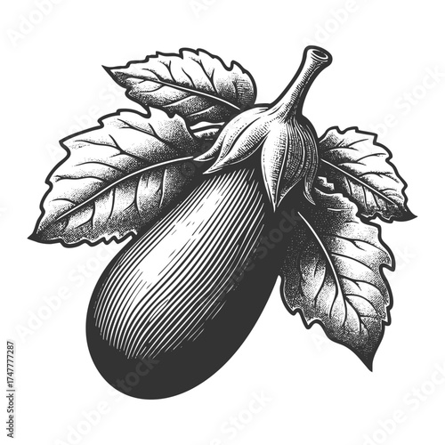 whole eggplant with stem, symbolizing agriculture, cooking, gardening, and fresh organic produce sketch engraving generative ai vector illustration. Scratch board imitation. Black and white image.
