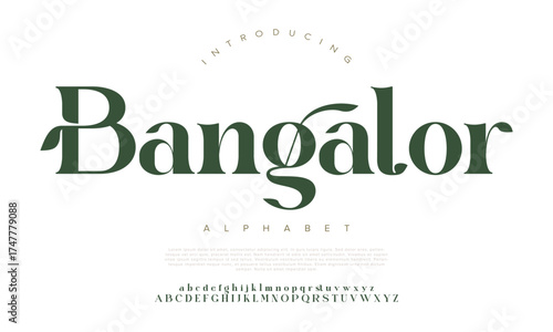 Elegant typography fonts regular uppercase and lowercase. elegant luxury alphabet letters font and number. Classic Lettering Minimal Fashion Designs. vector illustration