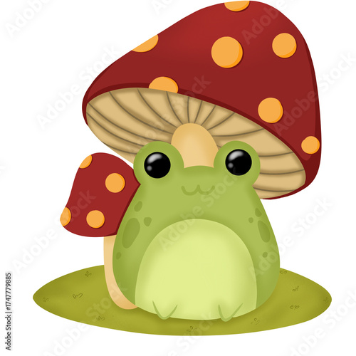 frog and Mushrooms