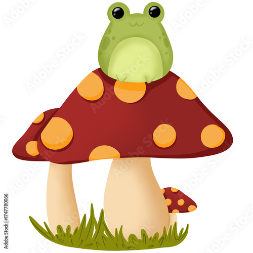 frog and mushroom