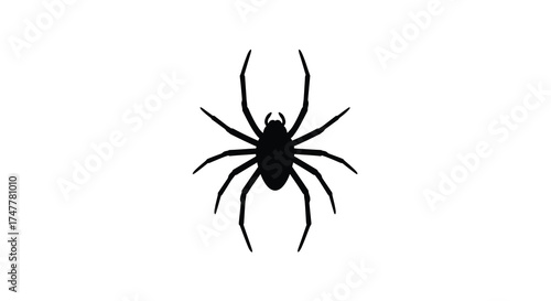 Silhouette of a black spider with detailed legs and body against a plain background for spooky halloween themes silhouette