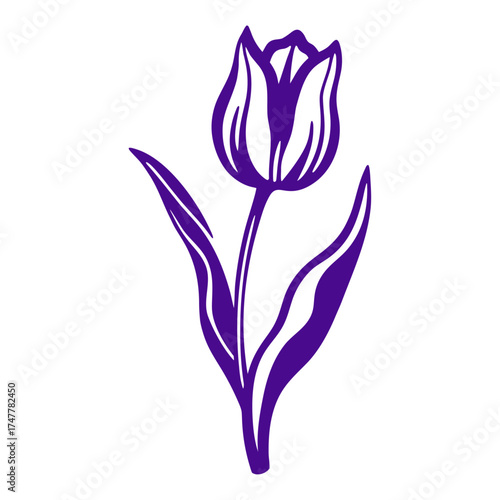 Purple Tulip Flower Vector Illustration on White Spring Awakening Frühlingsanfang Tulip flower with three petals and a single leaf curling upward