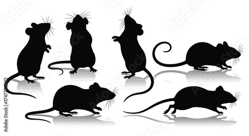Collection of silhouette mice poses for whiskers and rodent themed projects vector