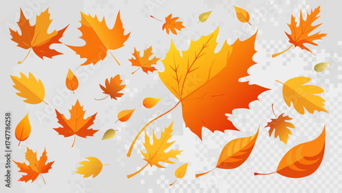 Vector art of autumn leaves collection of different shapes and colors